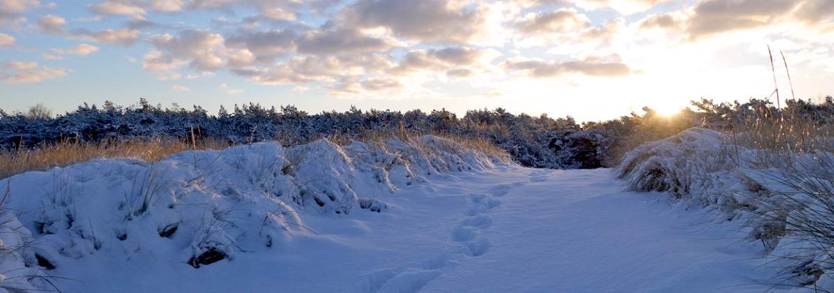 Ortsansicht von Zinnowitz auf der Insel Usedom